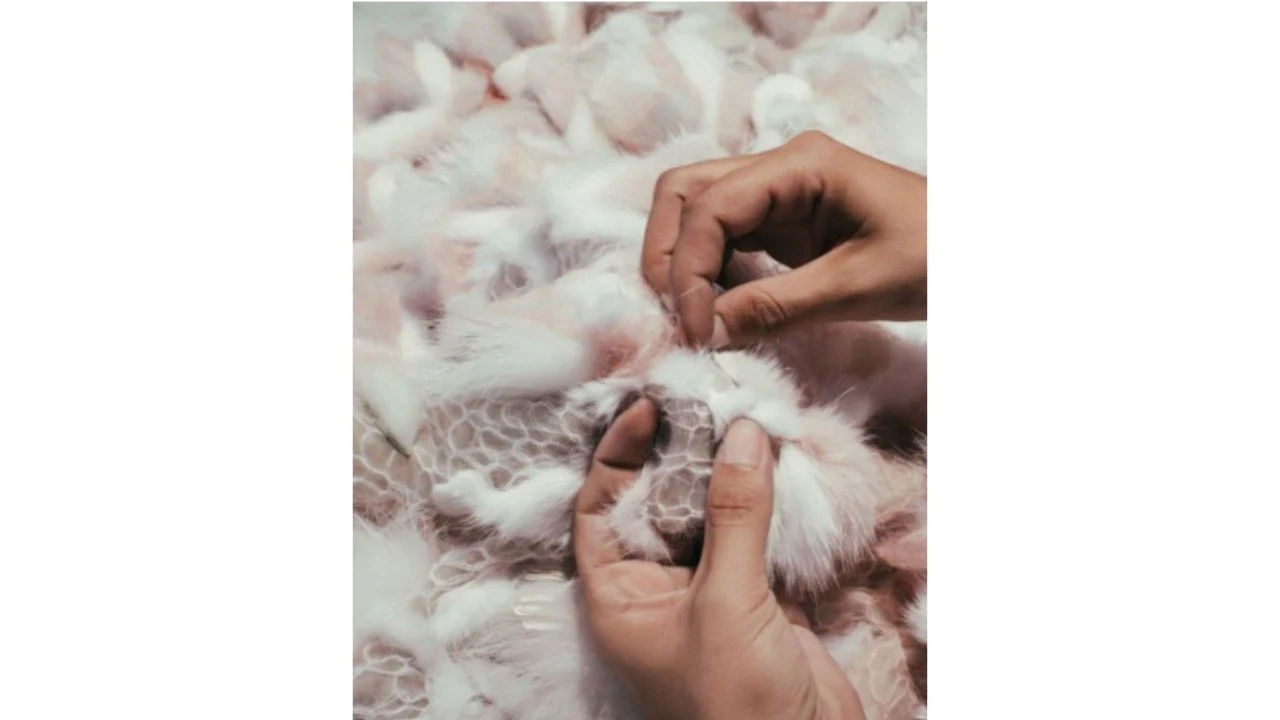 Fendi fur