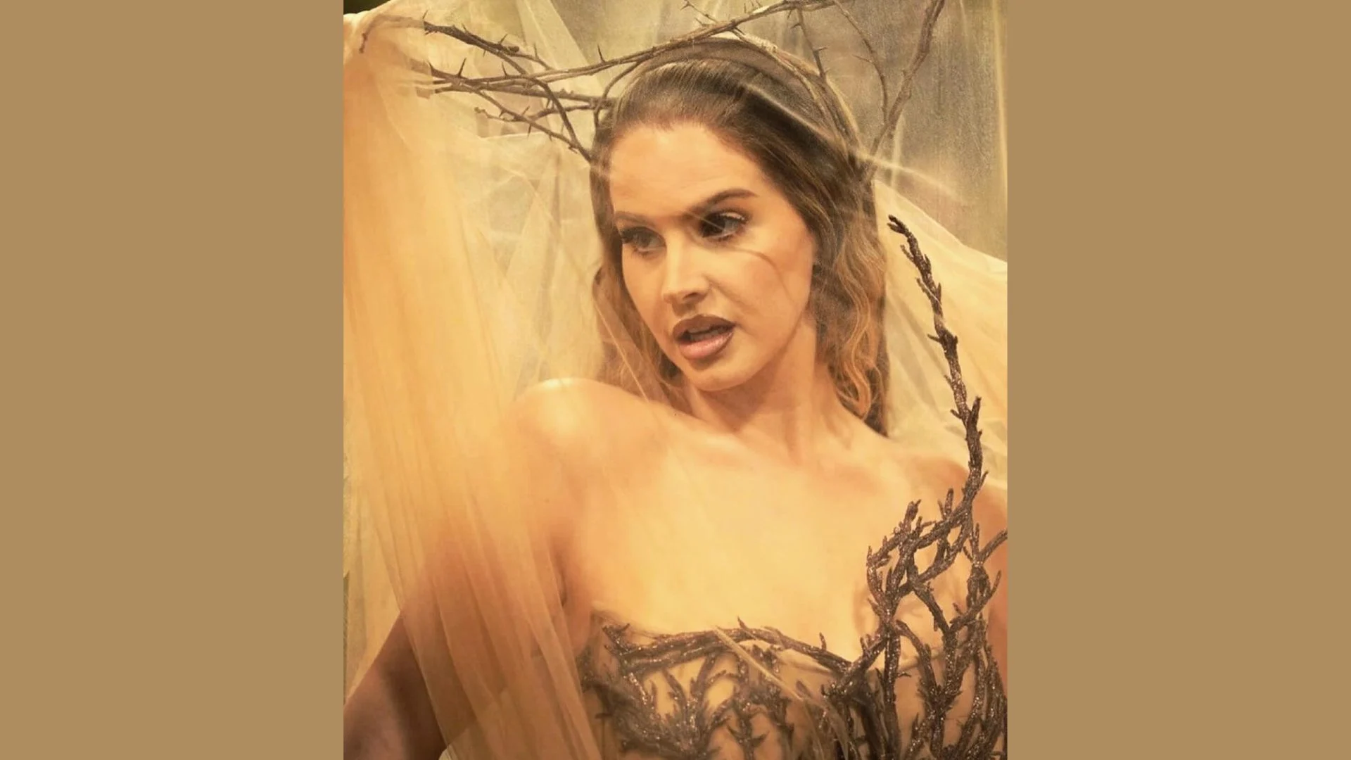 Best Dressed Celebrities At The Met Gala 2024